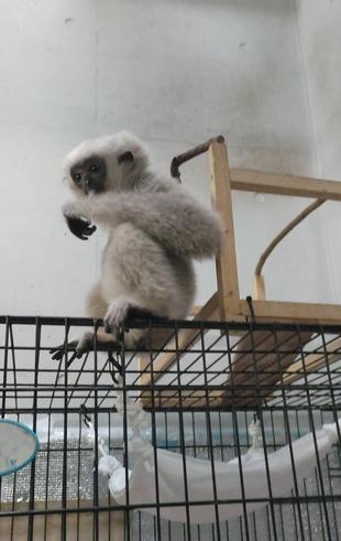 遊具で感じるプロイの成長