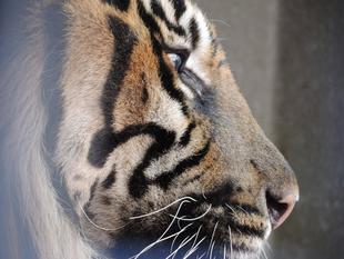 ハッピーバースデー2!