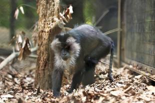 メンバー紹介③