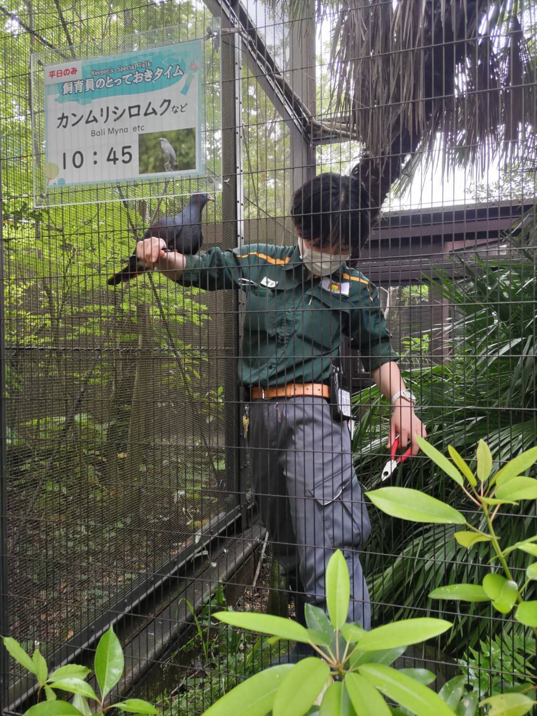 飼育員のとっておきタイムに向けて準備をしていたら、、、の写真