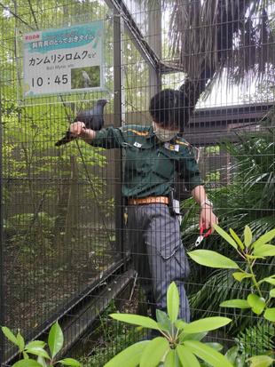 飼育員のとっておきタイムに向けて準備をしていたら、、、