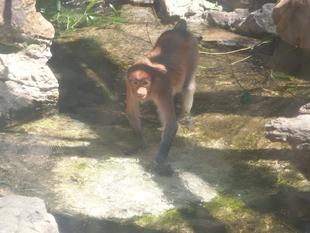 気持ちいいね☆*+。