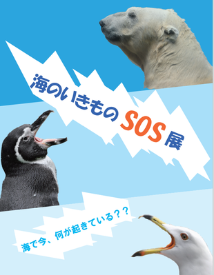 海のいきものSOS展　開催！