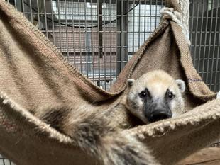 HAPPY BIRTHDAY★ベンジャミン！