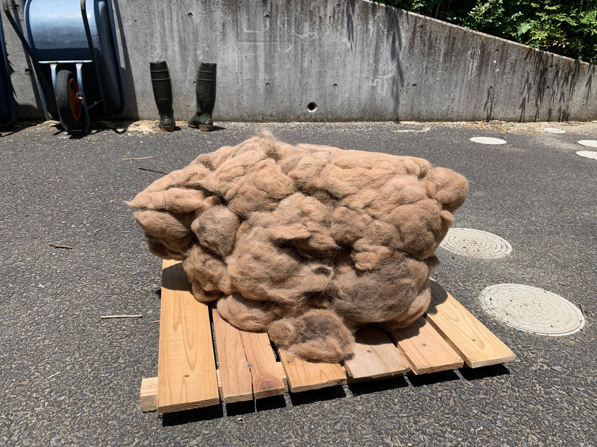 春が過ぎて②の写真