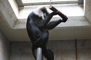 いろいろ試しています