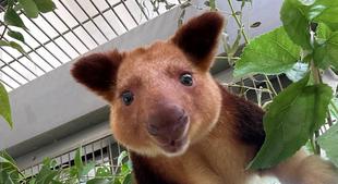 夏の必須アイテムの使い方