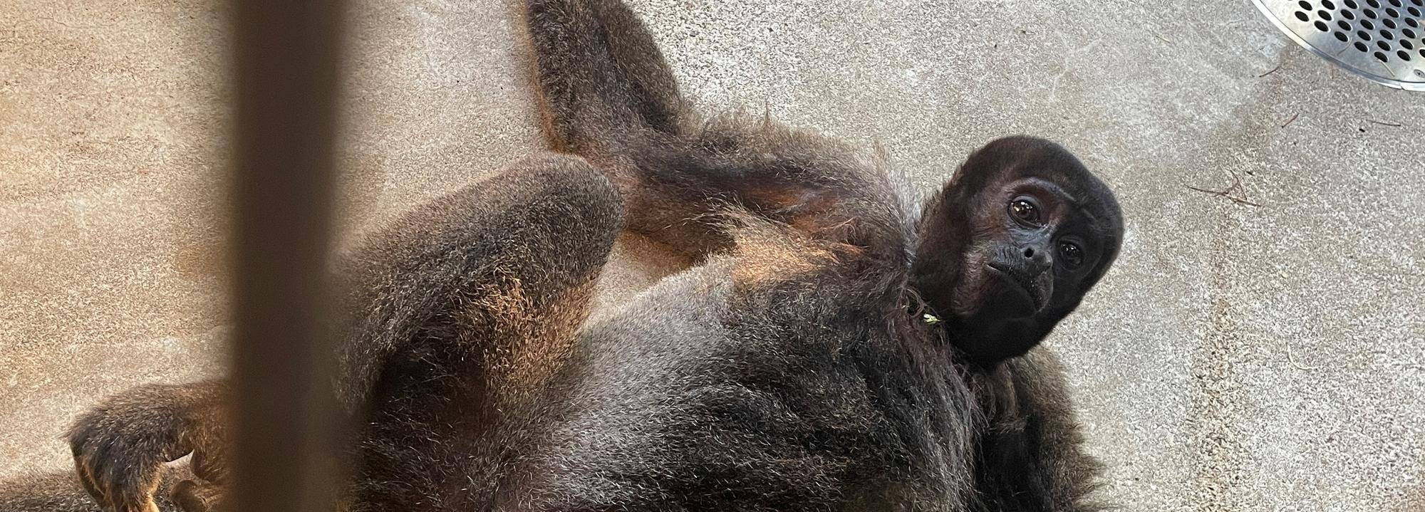 暑~~~い日の一コマの写真