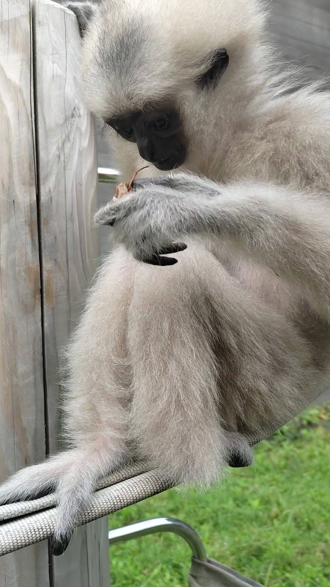 プロイと夏の風物詩の写真
