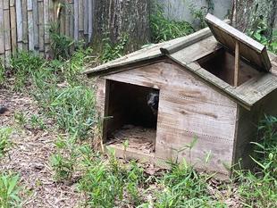 もうだいぶ慣れました！🏡