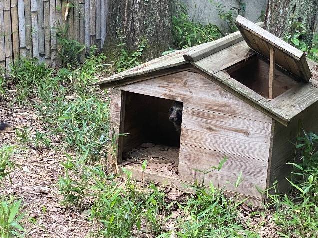 もうだいぶ慣れました!🏡の写真