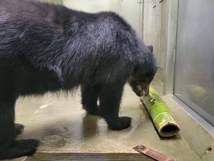 こちらも試行錯誤しながら・・・③