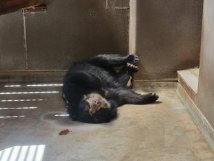 暑いですからね・・・( 一一)