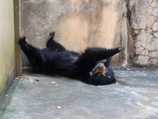 色々な姿勢で・・・