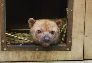 スマイラー、元気でね～～