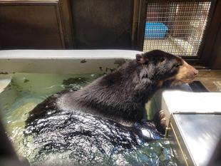 暑い日には・・・