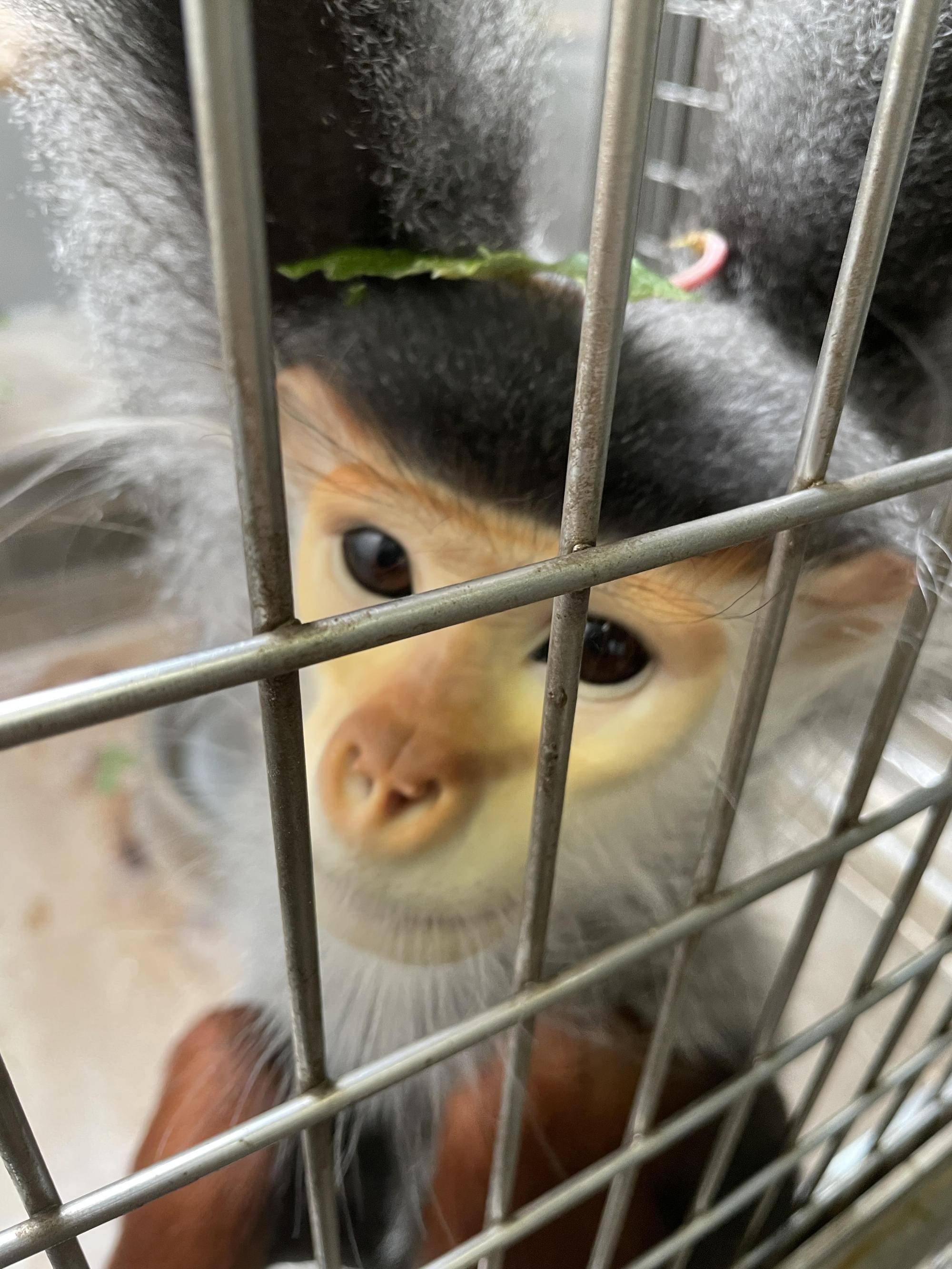 マニかっぱ現る??の写真