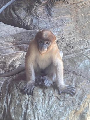 ある日のナタル☆*+。