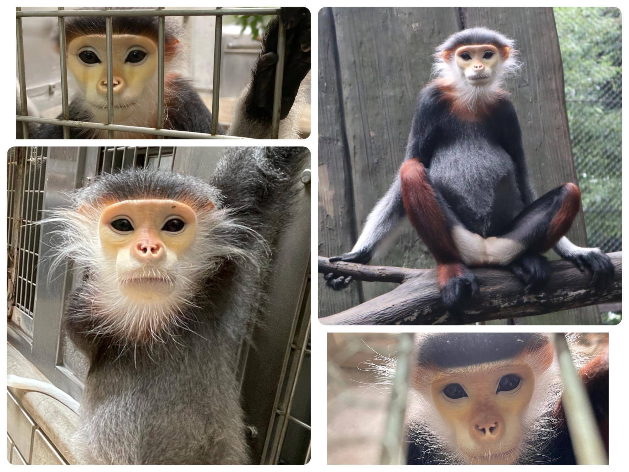 マニとプクとの思い出の写真