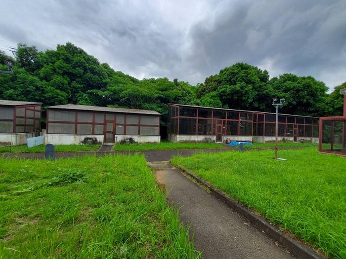 20220714_111725.jpgのサムネイル画像