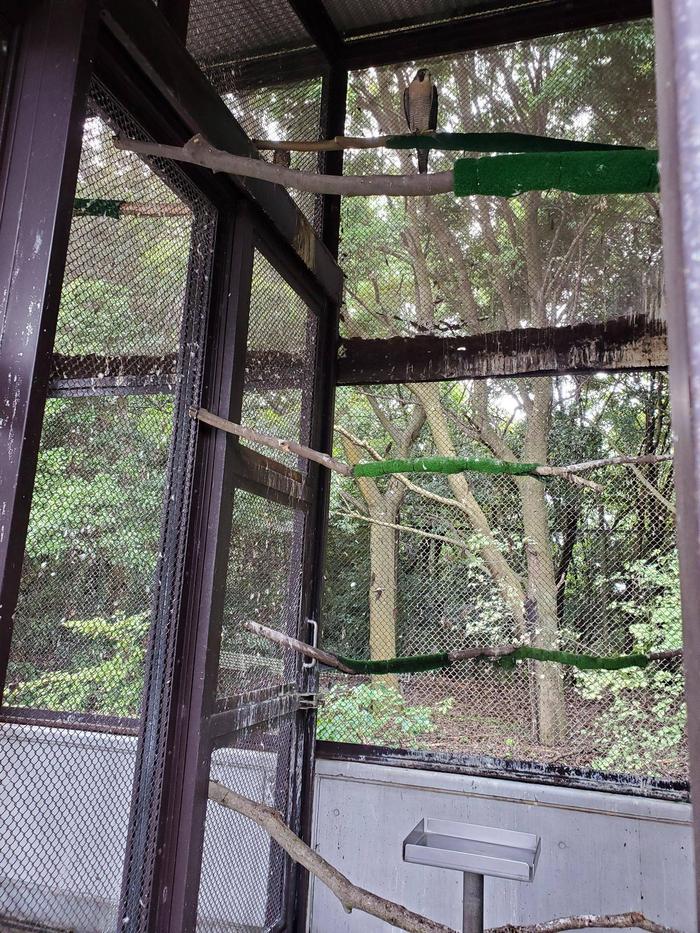 20220714_111933.jpgのサムネイル画像