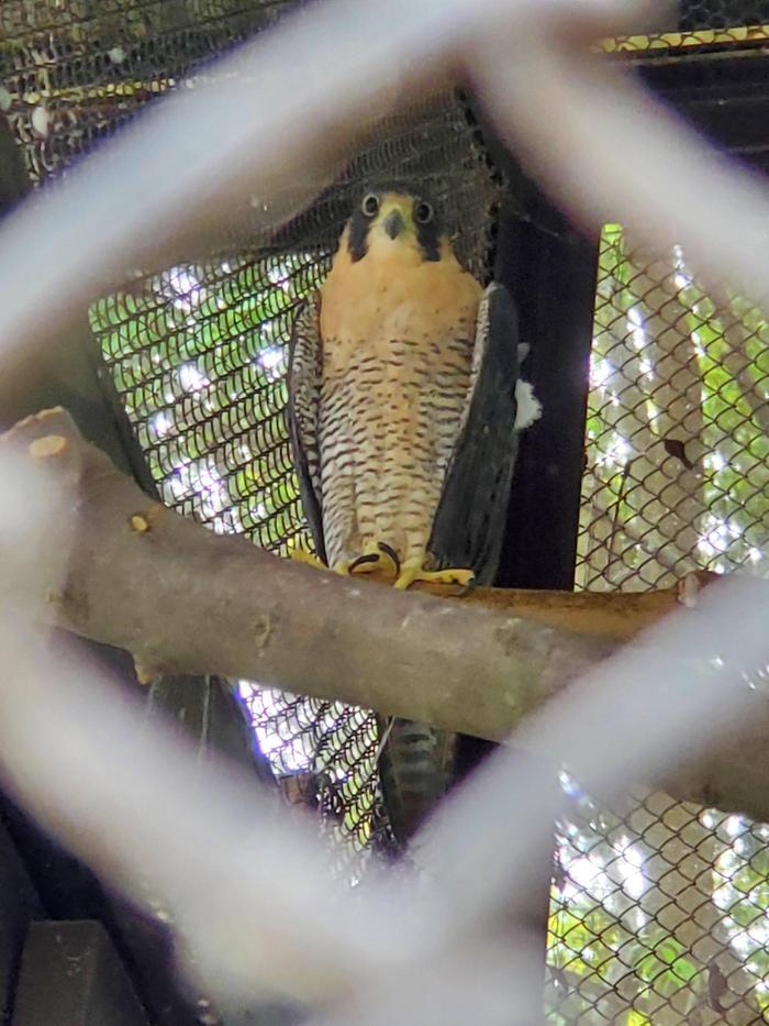 20220714_112232.jpgのサムネイル画像