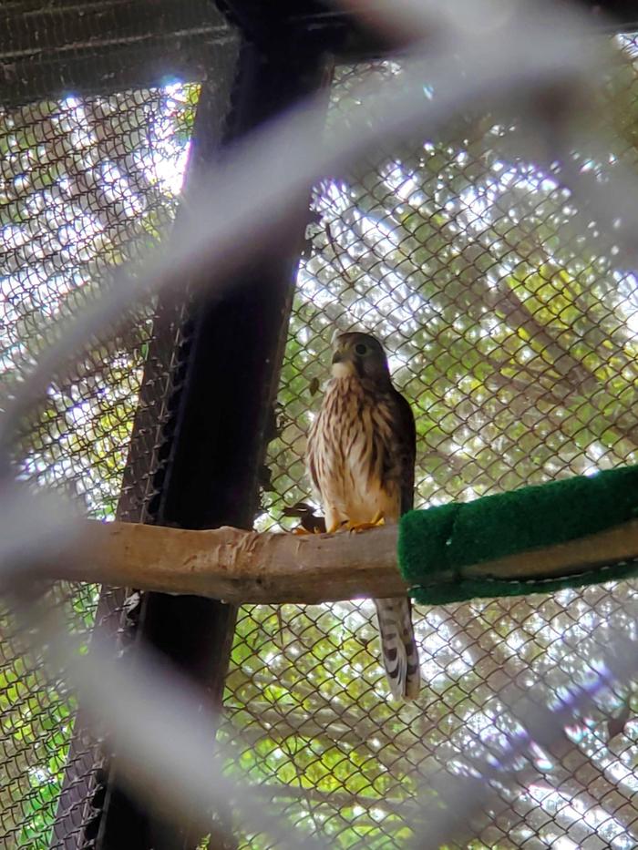 20220714_112249.jpgのサムネイル画像