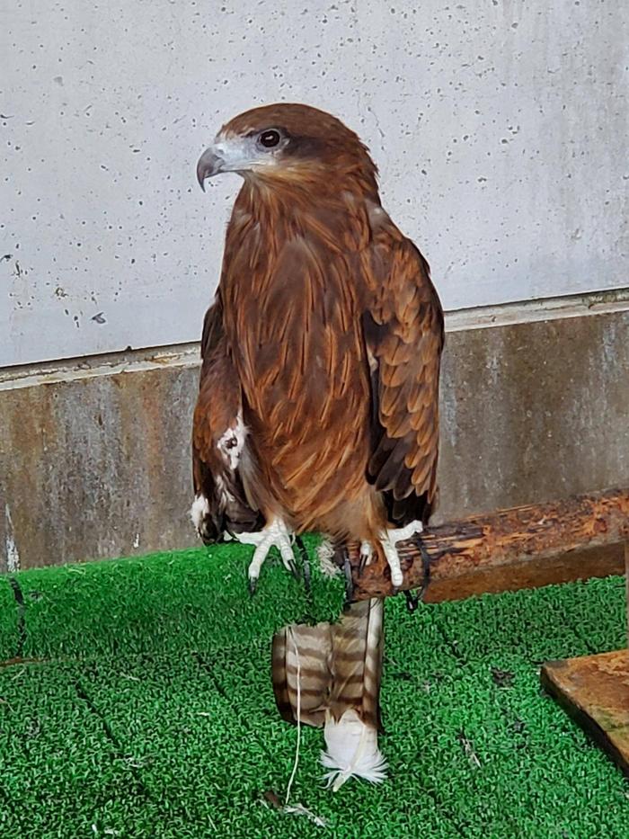 20220714_112335.jpgのサムネイル画像