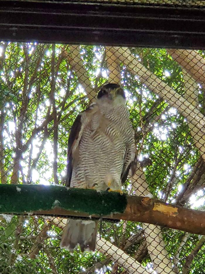 20220714_112413.jpgのサムネイル画像