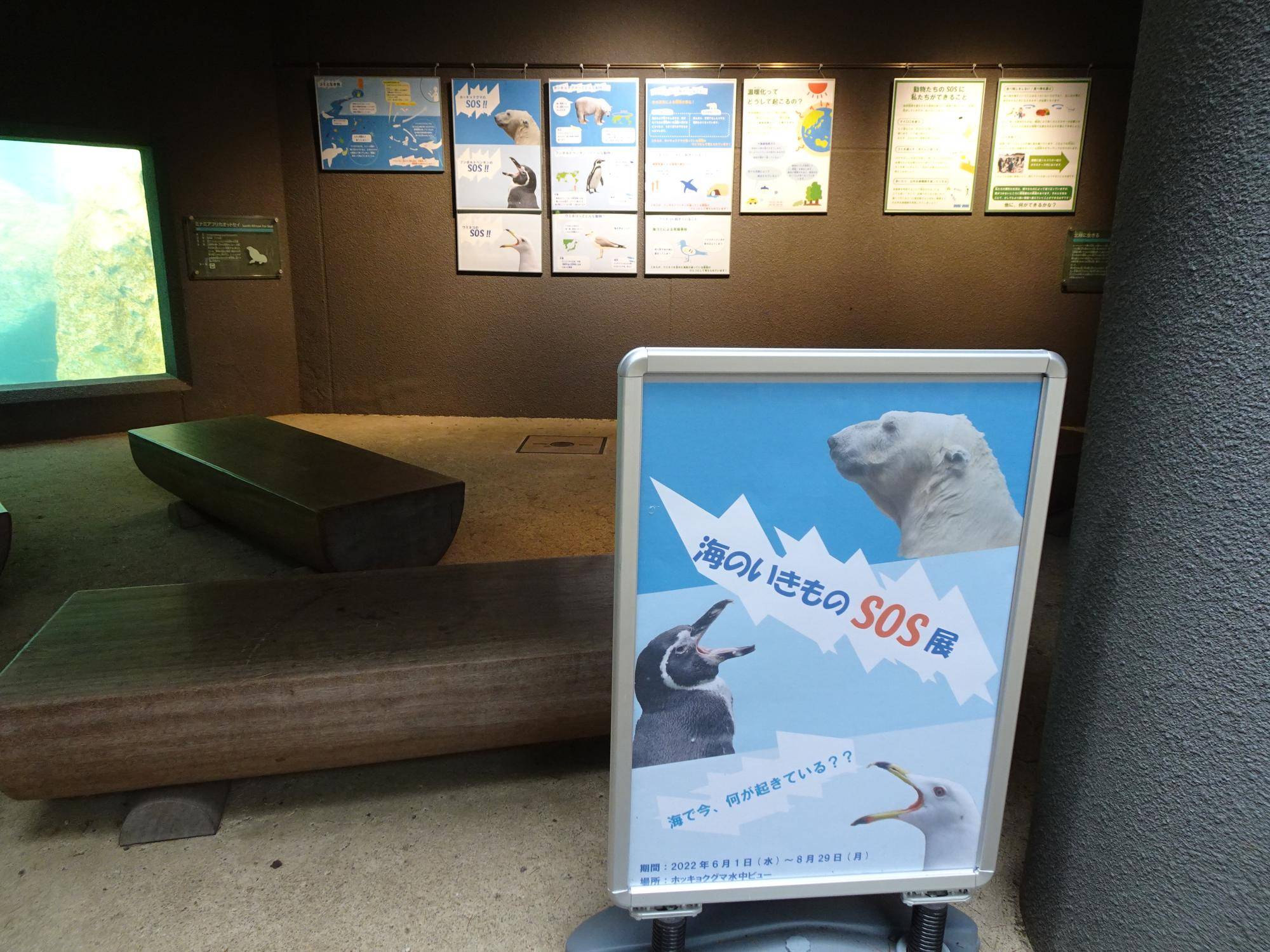 『海のいきものSOS展』まもなく終了(8/29まで)の写真