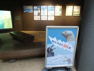 『海のいきものSOS展』まもなく終了（8/29まで）