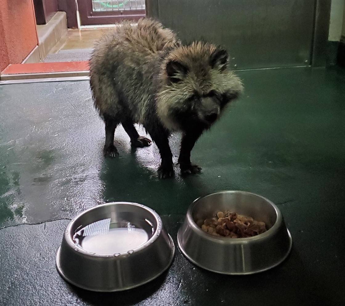 ブログで 動物病院ガイドツアー!(その7)の写真