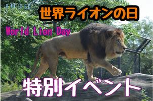 「世界ライオンの日」特別イベントを開催します！の画像