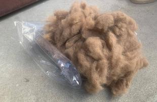 ラクダの毛を洗ってみた。