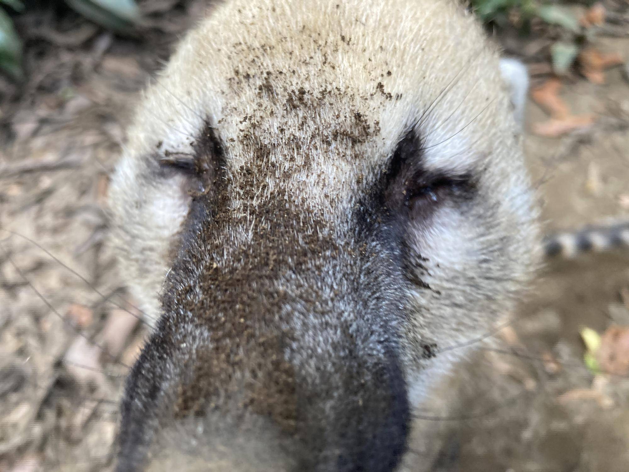 残り期間短くなってきました!の写真