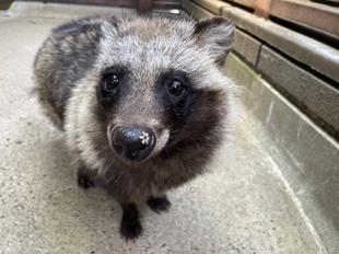 なめなめなめ2022夏