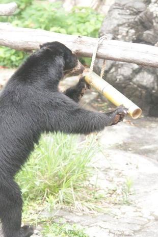 展示場の竹筒フィーダー（雪雄編）