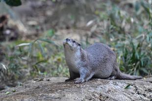 モコありがとう