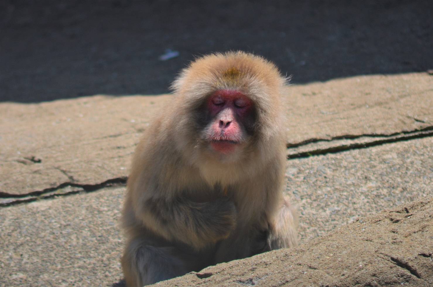 クリッ!クリ~🎵②の写真