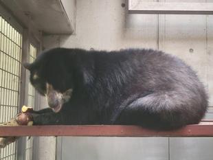 寝台の上でこんなことも・・・