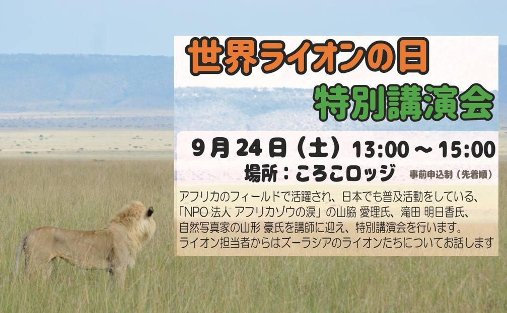 まだまだ募集中です🦁の写真