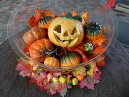 ズーラシアハロウィンの画像