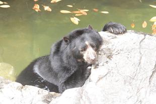 暑かった頃を回想して・・