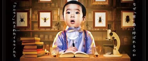 害蟲展season3開催の画像