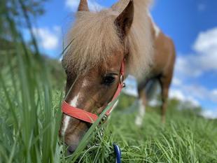 休園日の楽しみと言えば、、、、