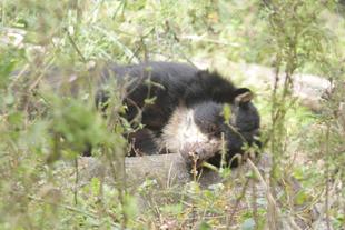 最近、美雨ばかりですが・・・