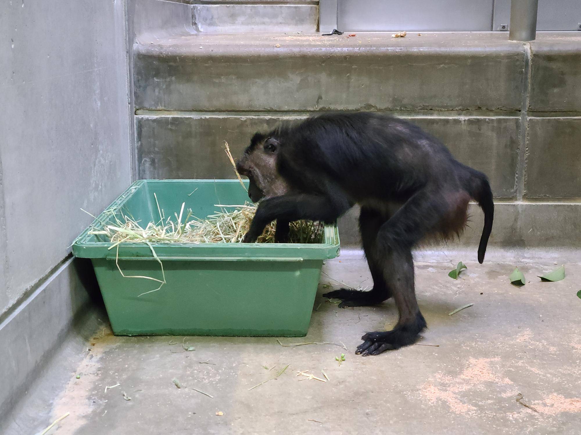 これもある意味SDGs?の写真