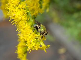 ～　バエる　～