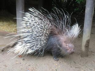 味覚の秋・食欲の秋