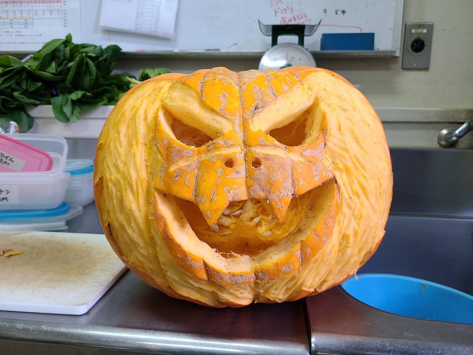 ズーラシアハロウィン~シシオザル編~の写真
